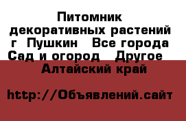 Питомник декоративных растений г. Пушкин - Все города Сад и огород » Другое   . Алтайский край